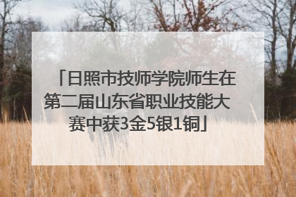 日照市技师学院师生在第二届山东省职业技能大赛中获3金5银1铜