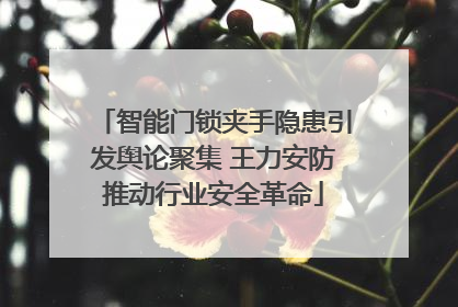 智能门锁夹手隐患引发舆论聚集 王力安防推动行业安全革命