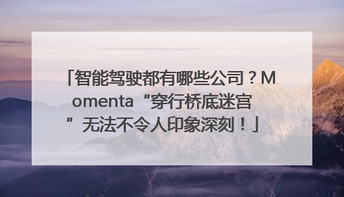 智能驾驶都有哪些公司？Momenta“穿行桥底迷宫”无法不令人印象深刻！
