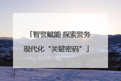 智警赋能 探索警务现代化“关键密码”