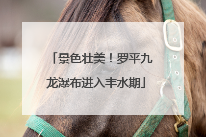 景色壮美！罗平九龙瀑布进入丰水期