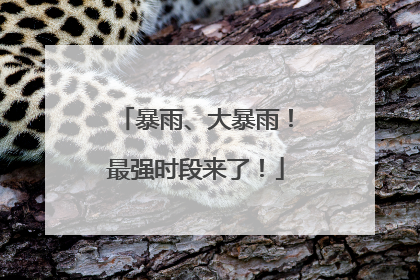 暴雨、大暴雨！最强时段来了！