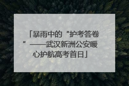 暴雨中的“护考答卷”——武汉新洲公安暖心护航高考首日