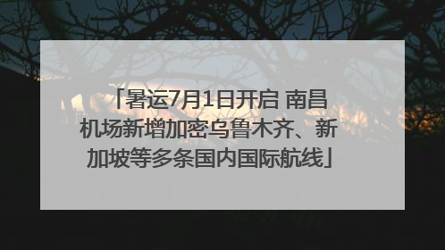 暑运7月1日开启 南昌机场新增加密乌鲁木齐、新加坡等多条国内国际航线