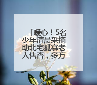 暖心！5名少年清晨采摘助北宅孤寡老人售杏，多方善意传递城市温情