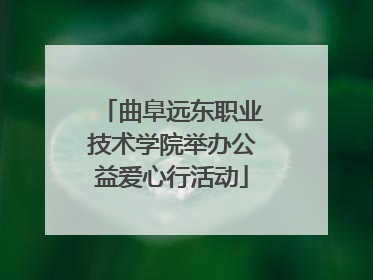 曲阜远东职业技术学院举办公益爱心行活动