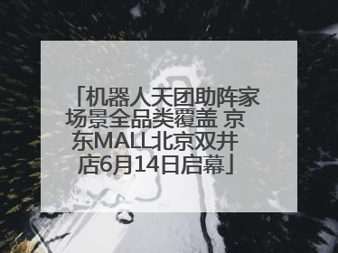 机器人天团助阵家场景全品类覆盖 京东MALL北京双井店6月14日启幕