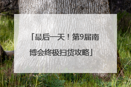 最后一天！第9届南博会终极扫货攻略