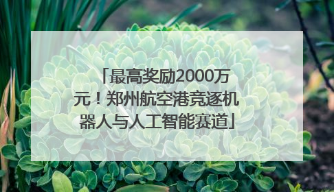 最高奖励2000万元！郑州航空港竞逐机器人与人工智能赛道