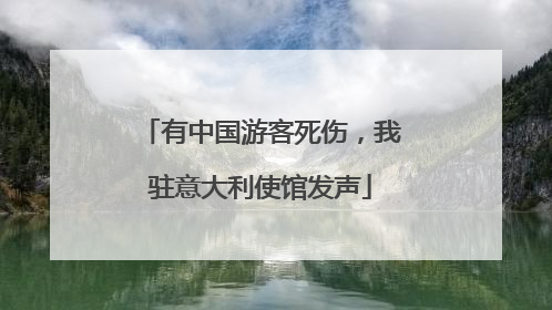 有中国游客死伤，我驻意大利使馆发声