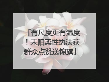 有尺度更有温度！耒阳柔性执法获群众点赞送锦旗