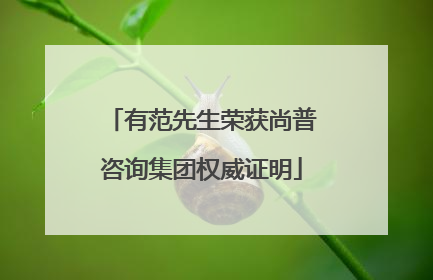 有范先生荣获尚普咨询集团权威证明