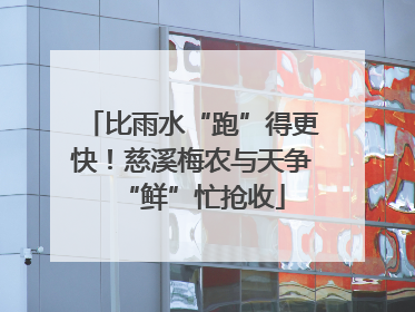 比雨水“跑”得更快！慈溪梅农与天争“鲜”忙抢收