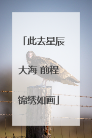 此去星辰大海 前程锦绣如画