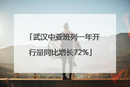 武汉中亚班列一年开行量同比增长72%