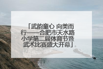 武韵童心 向美而行——合肥市天水路小学第二届体育节暨武术比赛盛大开幕