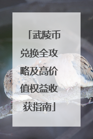 武陵币兑换全攻略及高价值权益收获指南