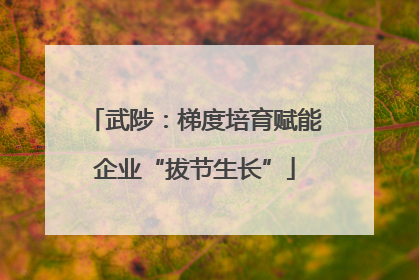 武陟：梯度培育赋能企业“拔节生长”