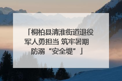桐柏县清淮街道退役军人勇担当 筑牢暑期防溺“安全堤”