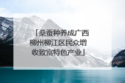桑蚕种养成广西柳州柳江区民众增收致富特色产业