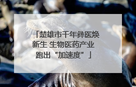 楚雄市千年彝医焕新生 生物医药产业跑出“加速度”