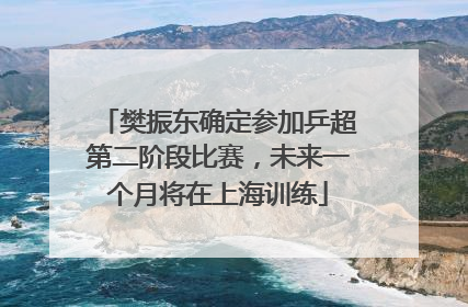 樊振东确定参加乒超第二阶段比赛，未来一个月将在上海训练
