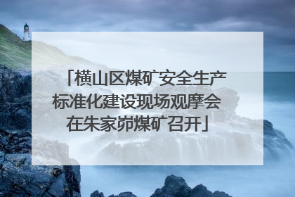 横山区煤矿安全生产标准化建设现场观摩会在朱家峁煤矿召开