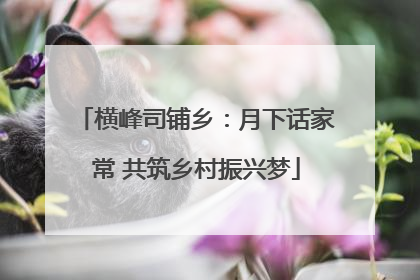 横峰司铺乡：月下话家常 共筑乡村振兴梦