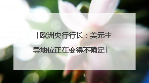 欧洲央行行长：美元主导地位正在变得不确定
