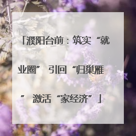 濮阳台前：筑实“就业圈” 引回“归巢雁” 激活“家经济”