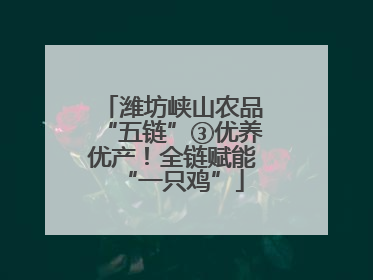 潍坊峡山农品“五链”③优养优产！全链赋能“一只鸡”