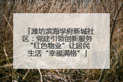 潍坊滨海学府新城社区：党建引领创新服务 “红色物业”让居民生活“幸福满格”