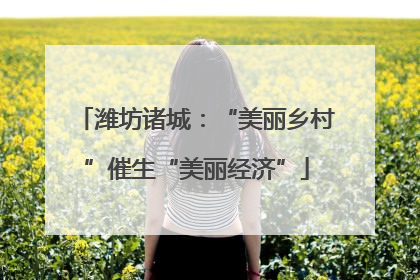 潍坊诸城：“美丽乡村”催生“美丽经济”