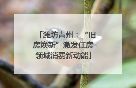 潍坊青州：“旧房焕新”激发住房领域消费新动能