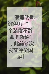 潘粤明批评伊万“一个装傻不辞职的教练”，此前多次发文评价国足