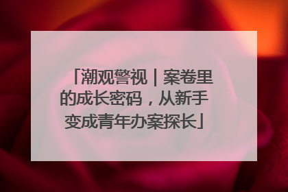 潮观警视｜案卷里的成长密码，从新手变成青年办案探长