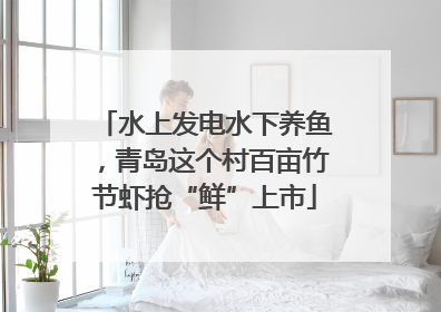 水上发电水下养鱼，青岛这个村百亩竹节虾抢“鲜”上市