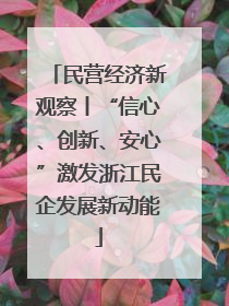 民营经济新观察丨“信心、创新、安心”激发浙江民企发展新动能