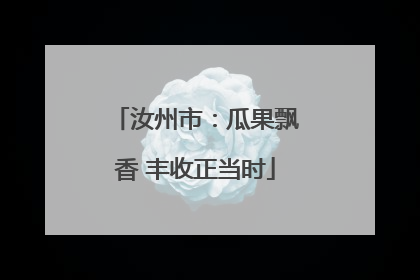 汝州市：瓜果飘香 丰收正当时