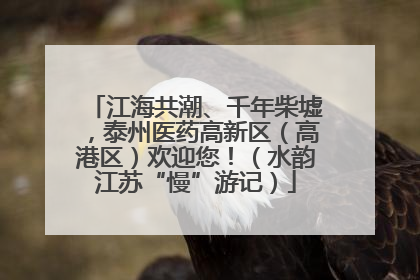 江海共潮、千年柴墟，泰州医药高新区（高港区）欢迎您！（水韵江苏“慢”游记）