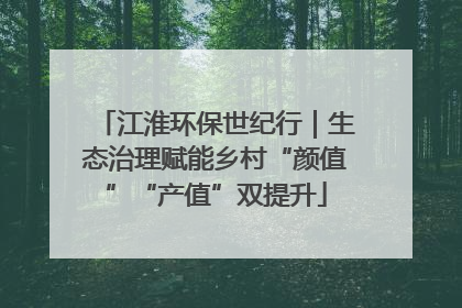 江淮环保世纪行｜生态治理赋能乡村“颜值”“产值”双提升