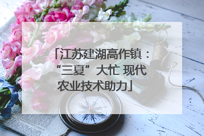 江苏建湖高作镇：“三夏”大忙 现代农业技术助力
