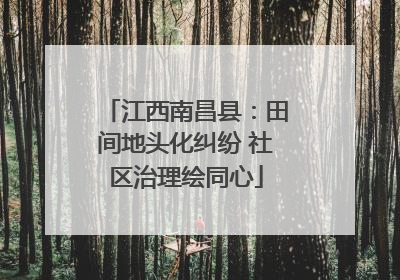 江西南昌县：田间地头化纠纷 社区治理绘同心