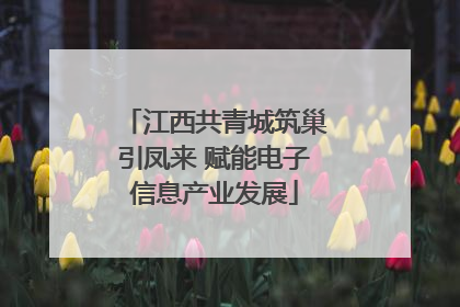江西共青城筑巢引凤来 赋能电子信息产业发展