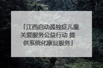 江西启动孤独症儿童关爱服务公益行动 提供系统化康复服务