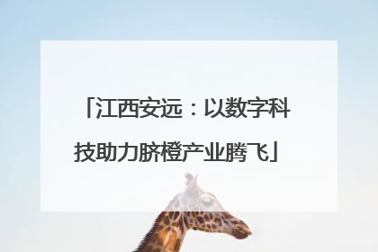 江西安远：以数字科技助力脐橙产业腾飞