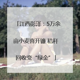 江西彭泽：5万余亩小麦喜开镰 秸秆回收变“绿金”
