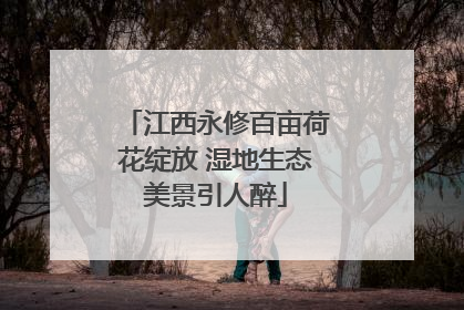 江西永修百亩荷花绽放 湿地生态美景引人醉
