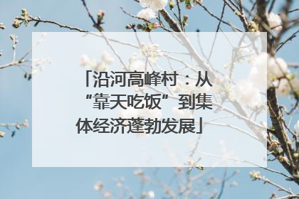 沿河高峰村：从“靠天吃饭”到集体经济蓬勃发展