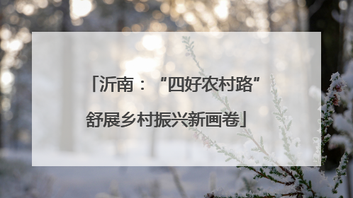 沂南：“四好农村路”舒展乡村振兴新画卷